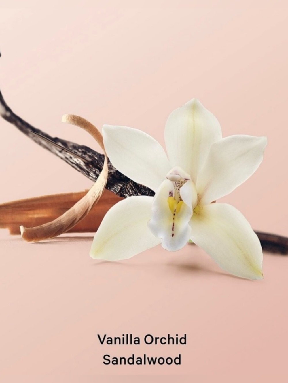 Victoria's Secret Vanilla Orchid & Sandalwood Body Oil 4.3 oz - Picture 4 of 7
